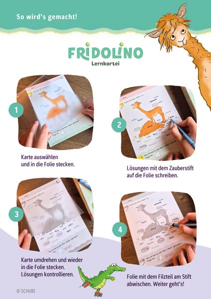 Fridolino-Lernkartei. Lesezeit 3. Schuljahr, Sonstige von , Westermann Lernwelten GmbH, 978-3-07-220004-2