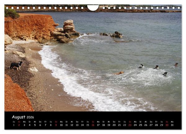 Produktbild: Zauberhaftes Ibiza (Wandkalender 2026 DIN A4 quer), CALVENDO Monatskalender