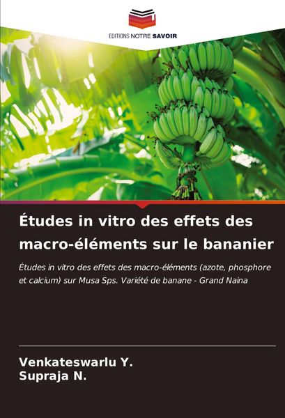 Produktbild: &Eacute;tudes in vitro des effets des macro-&eacute;l&eacute;ments sur le bananier
