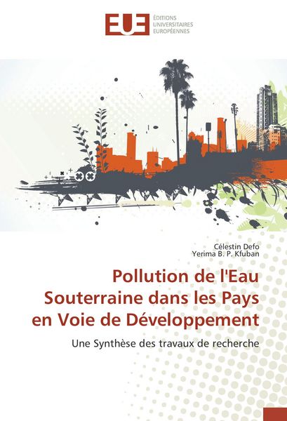Produktbild: Pollution de l'Eau Souterraine dans les Pays en Voie de D&eacute;veloppement