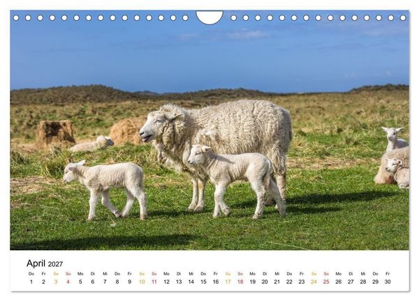 Produktbild: Sylt - Meine Trauminsel (Wandkalender 2027 DIN A4 quer), CALVENDO Monatskalender