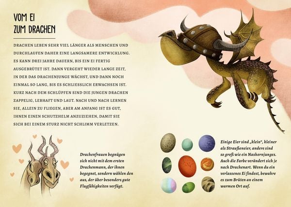 Produktbild: Drachen