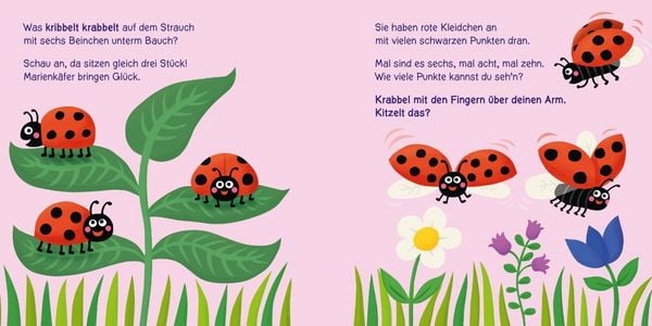 Produktbild: Baby Pixi (unkaputtbar) 160: Wer kribbelt und krabbelt denn da?