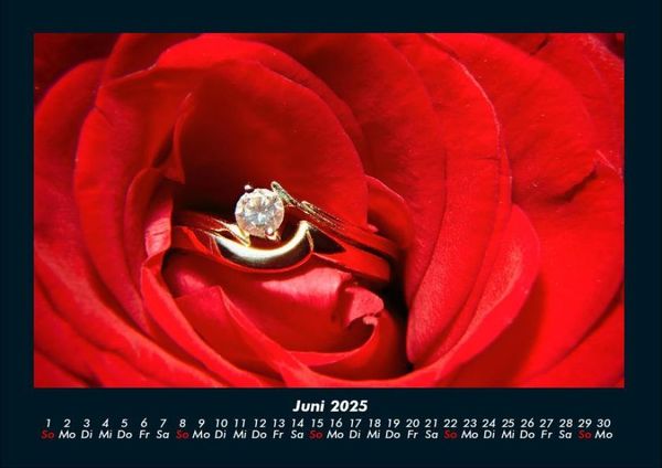 Produktbild: Rosentraum 2025 Fotokalender DIN A4