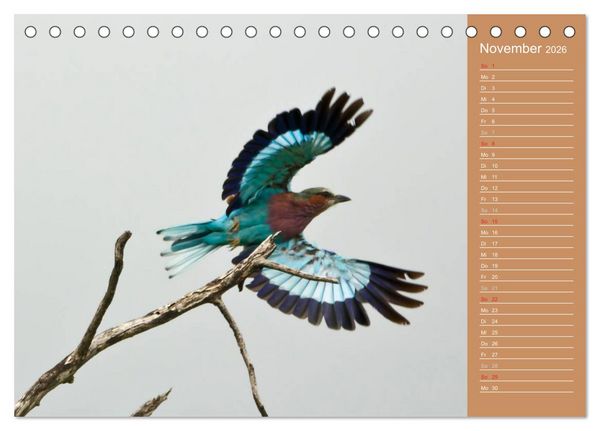 Produktbild: Afrika - Faszinierende Tierwelt (Tischkalender 2026 DIN A5 quer), CALVENDO Monatskalender