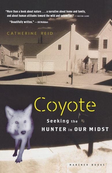 Produktbild: Coyote
