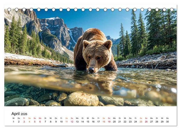 Produktbild: B&auml;ren - Die Macht der Natur (Tischkalender 2026 DIN A5 quer), CALVENDO Monatskalender