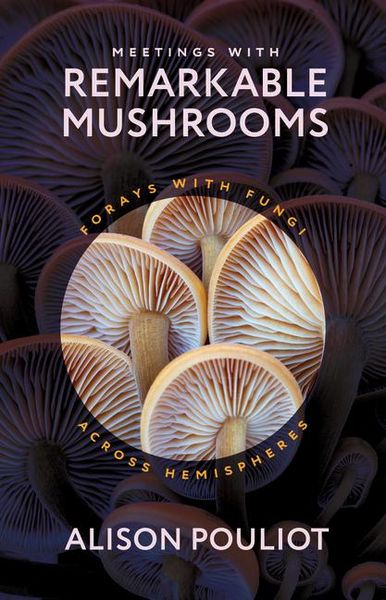 Produktbild: Meetings with Remarkable Mushrooms