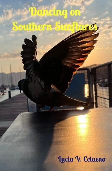 Produktbild: Dancing on Southern Sunflares