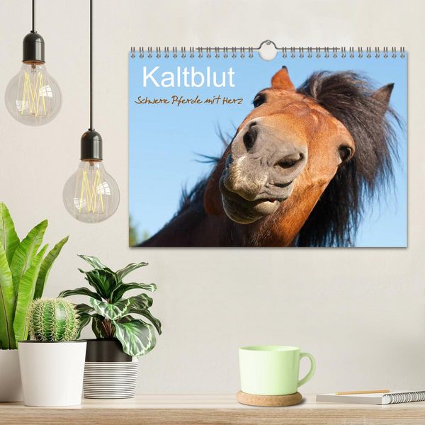 Produktbild: Kaltblut - schwere Pferde mit Herz (Wandkalender 2026 DIN A4 quer), CALVENDO Monatskalender