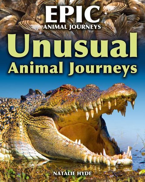 Produktbild: Unusual Animal Journeys