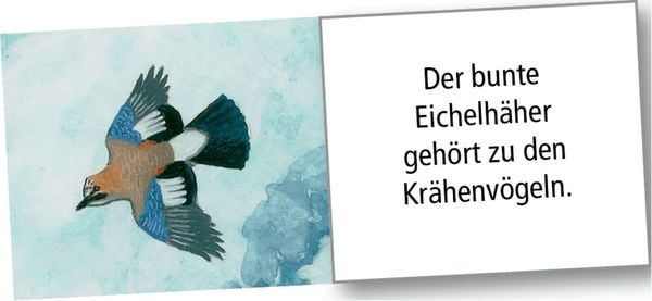 Produktbild: Wand-Adventskalender &ndash; Wintertiere bei Nacht