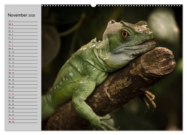 Produktbild: Kaltes Blut. Faszination Reptilien (hochwertiger Premium Wandkalender 2026 DIN A2 quer), Kunstdruck in Hochglanz