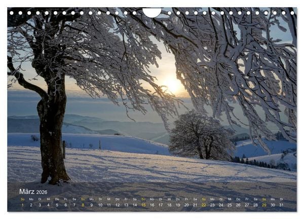 Produktbild: Faszination Schwarzwald (Wandkalender 2026 DIN A4 quer), CALVENDO Monatskalender