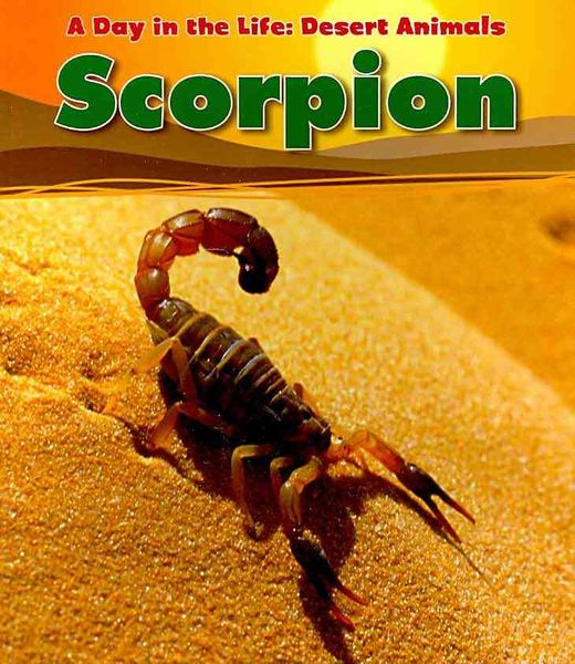 Produktbild: Scorpion