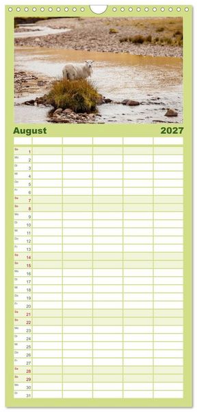Produktbild: Familienplaner 2027 - Schafe - Weich und wollig mit 5 Spalten (Wandkalender, 21 x 45 cm) CALVENDO