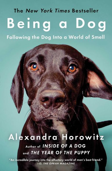 Produktbild: Being a Dog