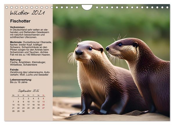 Produktbild: Wildtiere des Jahres (Wandkalender 2026 DIN A4 quer), CALVENDO Monatskalender