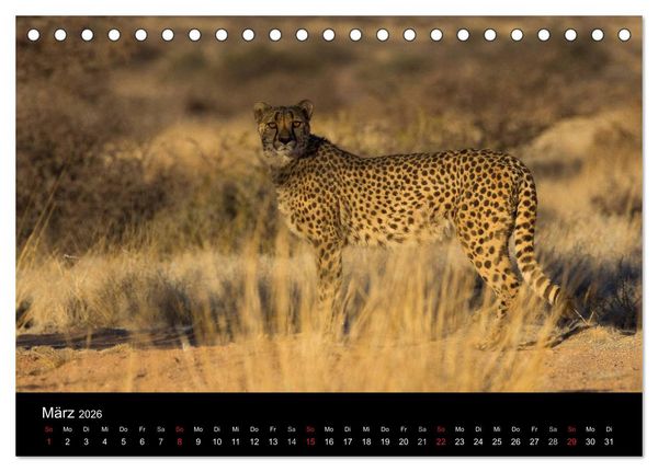 Produktbild: Wundersch&ouml;nes Namibia (Tischkalender 2026 DIN A5 quer), CALVENDO Monatskalender