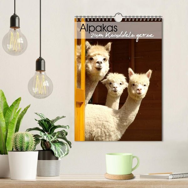 Produktbild: Alpakas zum Knuddeln gerne (Wandkalender 2026 DIN A4 hoch), CALVENDO Monatskalender