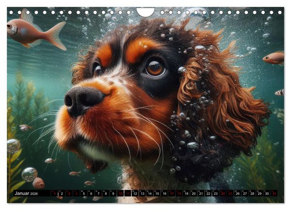 Produktbild: Badespa&szlig; - Hunde unter Wasser (Wandkalender 2026 DIN A4 quer), CALVENDO Monatskalender