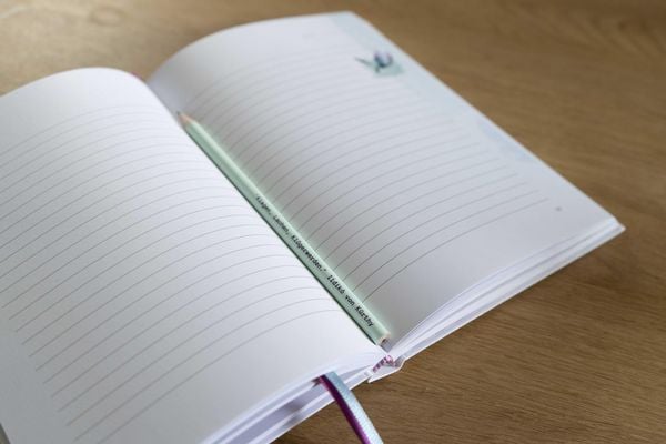 Produktbild: Es wird Zeit &ndash; Das Tagebuch zum Klagen, Lachen, Kl&uuml;gerwerden