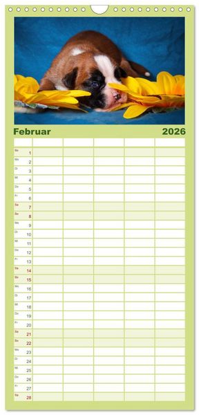 Produktbild: Familienplaner 2026 - Wenn ich gro&szlig; bin werd' ich Boxer mit 5 Spalten (Wandkalender, 21 x 45 cm) CALVENDO
