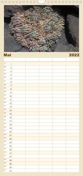 Produktbild: Familienplaner Faszination Kakteen (Wandkalender 2022 , 21 cm x 45 cm, hoch)
