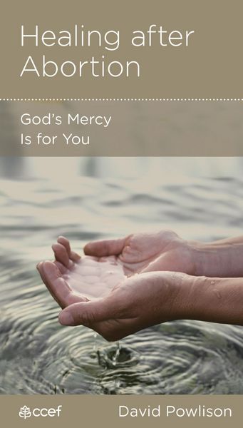 Produktbild: Healing after Abortion