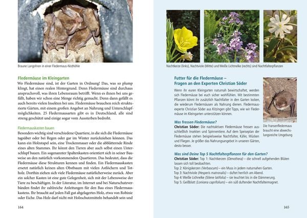 Produktbild: Unser naturnaher Kleingarten