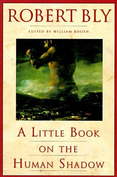 Produktbild: A Little Book on the Human Shadow