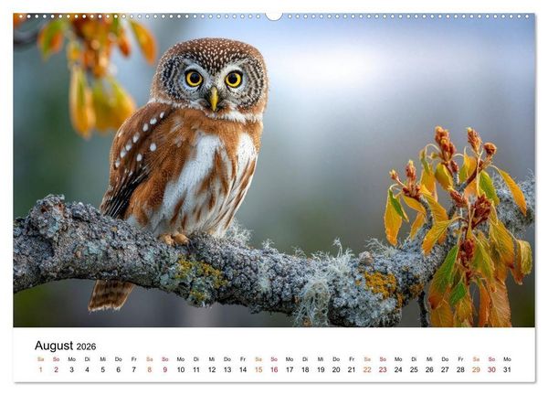 Produktbild: Eulen - Augen der Wildnis (Wandkalender 2026 DIN A2 quer), CALVENDO Monatskalender