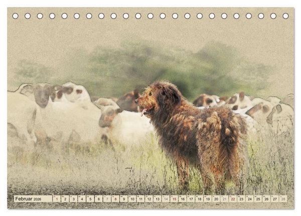 Produktbild: Altdeutsche H&uuml;tehunde 2026 (Tischkalender 2026 DIN A5 quer), CALVENDO Monatskalender