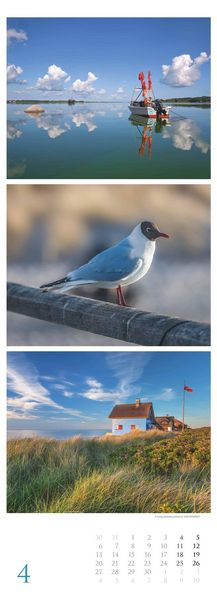 Strandgeflüster - Momente am Meer 2026 - Streifenkalender XXL 25x69 cm - Bildkalender im Hochformat - Wandkalender - Wandplaner - Strandkalender - Deu