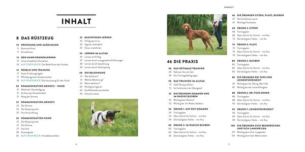 Produktbild: So einfach geht Hundeerziehung