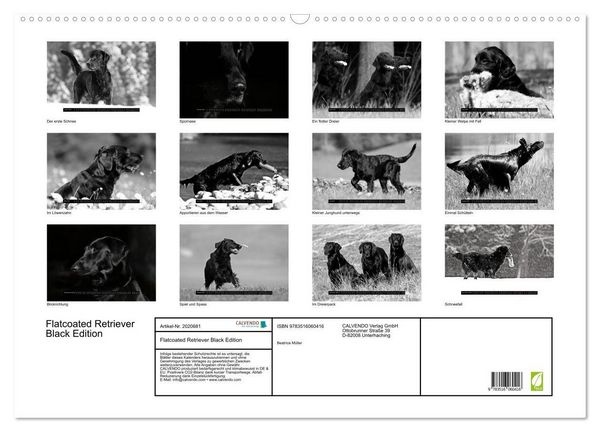 Produktbild: Flatcoated Retriever Black Edition (Wandkalender 2026 DIN A2 quer), CALVENDO Monatskalender