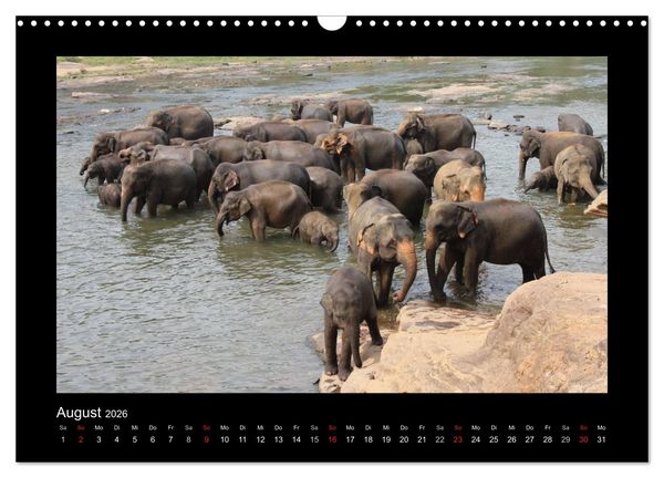 Produktbild: Sri Lanka Impressionen (Wandkalender 2026 DIN A3 quer), CALVENDO Monatskalender