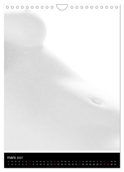 Produktbild: F&eacute;minit&eacute; (Calendrier mural 2027 DIN A4 horizontal), CALVENDO calendrier mensuel