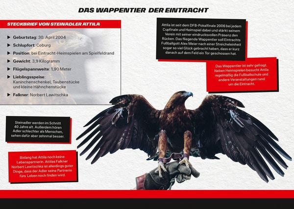 Produktbild: Eintracht Frankfurt: Meine Freunde - Das offizielle Eintracht Frankfurt Freundebuch