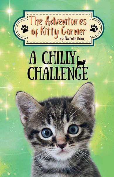 Produktbild: A Chilly Challenge
