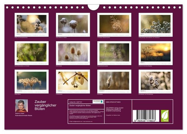 Produktbild: Zauber verg&auml;nglicher Bl&uuml;ten (Wandkalender 2027 DIN A4 quer), CALVENDO Monatskalender