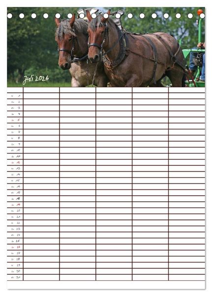 Produktbild: Der Kaltblut-Familienplaner (Tischkalender 2026 DIN A5 hoch), CALVENDO Monatskalender