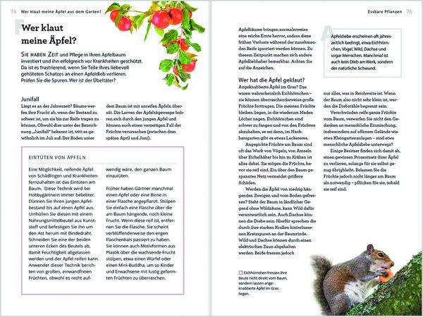 Produktbild: Wer klaut meine &Auml;pfel aus dem Garten