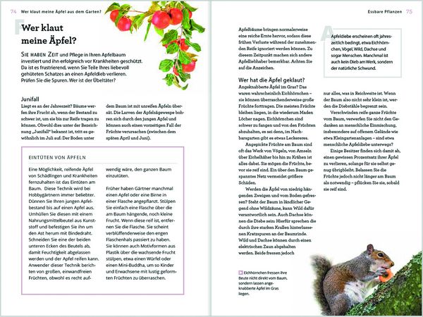 Produktbild: Wer klaut meine &Auml;pfel aus dem Garten