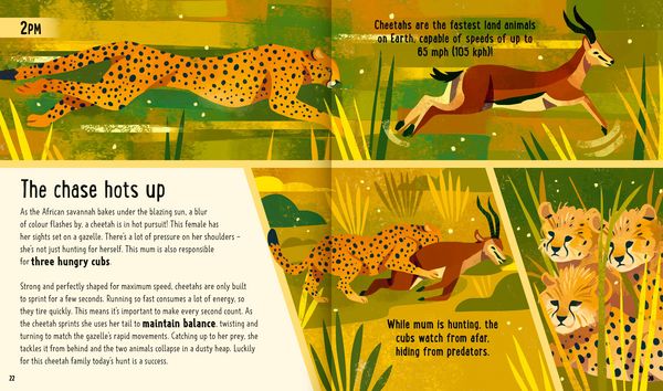 Produktbild: Big Cats (A Day in the Life)