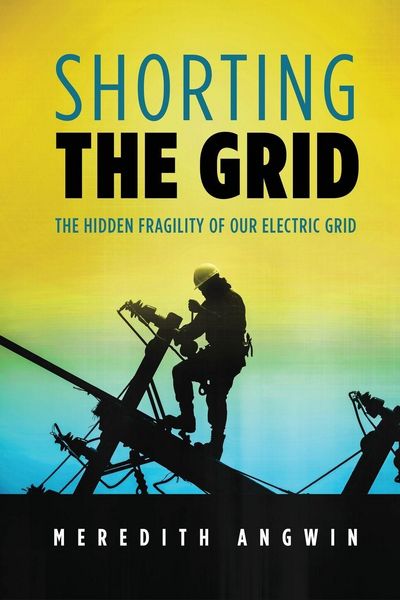 Produktbild: Shorting the Grid