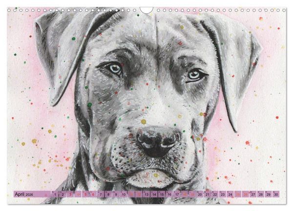 Produktbild: Hundeportr&auml;ts in Aquarell (Wandkalender 2026 DIN A3 quer), CALVENDO Monatskalender
