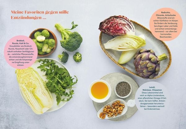 Produktbild: Der Endometriose-Balance-Plan