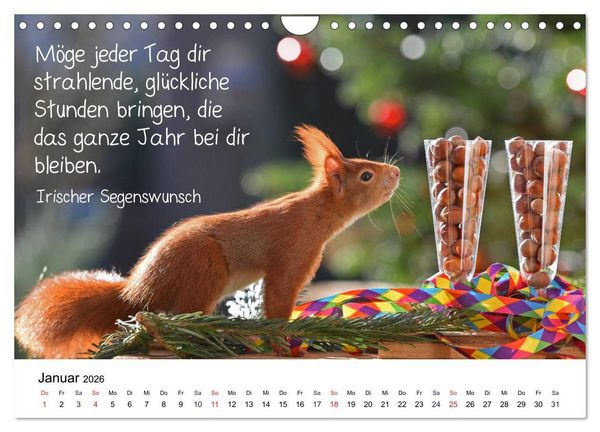 Produktbild: Der literarische Eichh&ouml;rnchen-Kalender (Wandkalender 2026 DIN A4 quer), CALVENDO Monatskalender