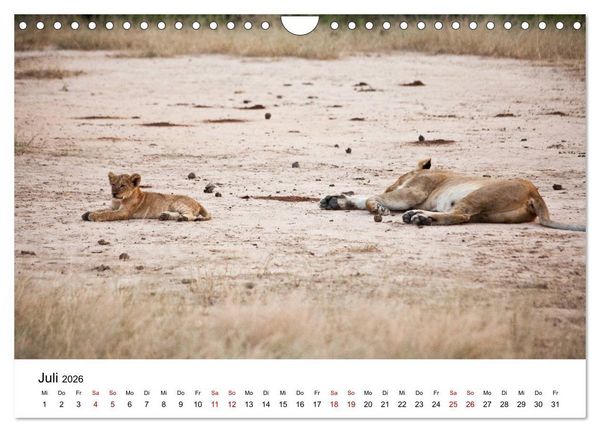 Produktbild: Sambia und der Sambesi (Wandkalender 2026 DIN A4 quer), CALVENDO Monatskalender
